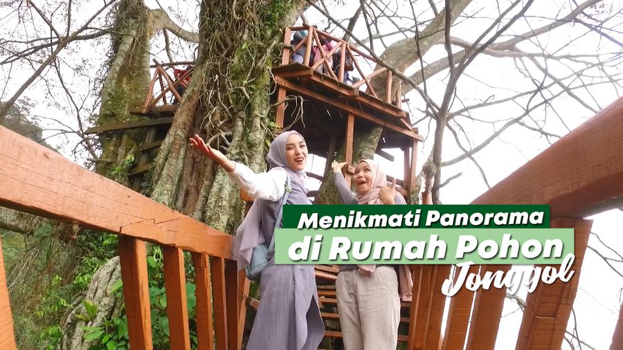 Menikmati Panorama di Rumah Pohon Jonggol