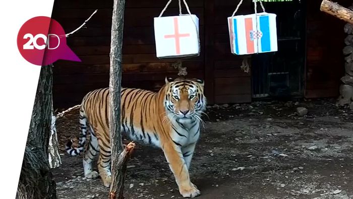 Inggris (Diramal) bakal Disingkirkan Kroasia