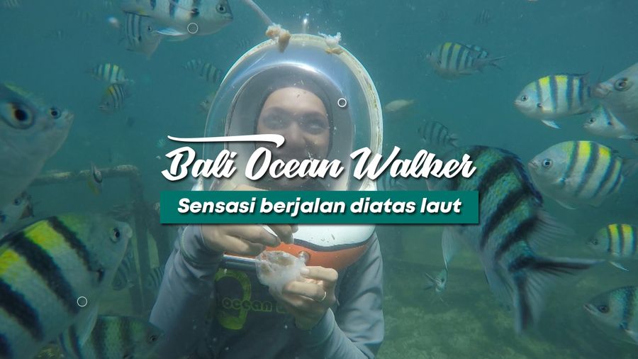 Sensasi Berjalan di Dasar Laut