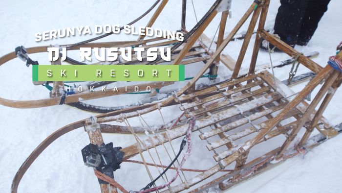 Dog Sledding, Kereta Salju yang Ditarik oleh Anjing