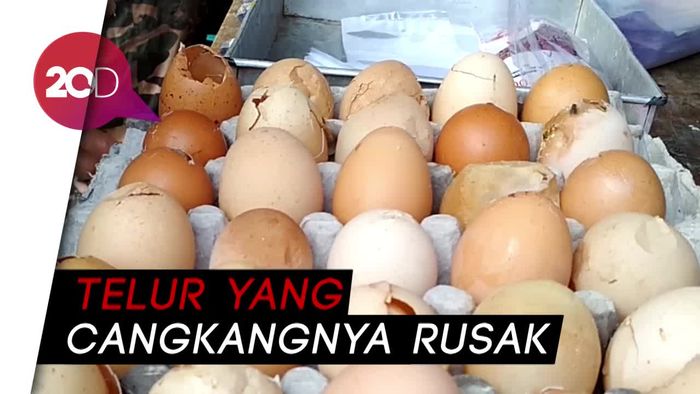  Harga Telur Selangit, Konsumen di Blitar Pilih Telur Bentesan