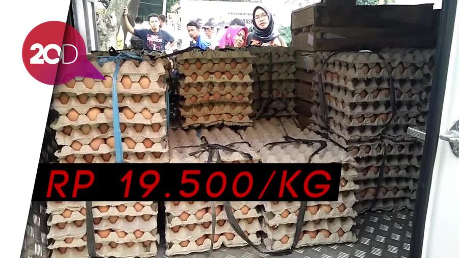 Jaga Kestabilan Harga Telur, Mentan Sebar 100 Ton Telur Murah
