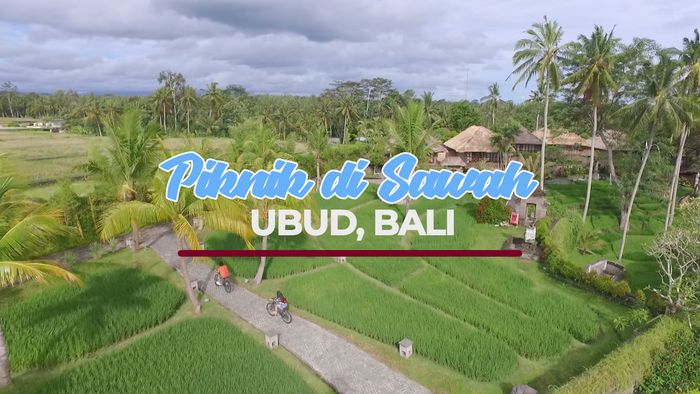 Sensasi Piknik Di Sawah Ubud, Bali