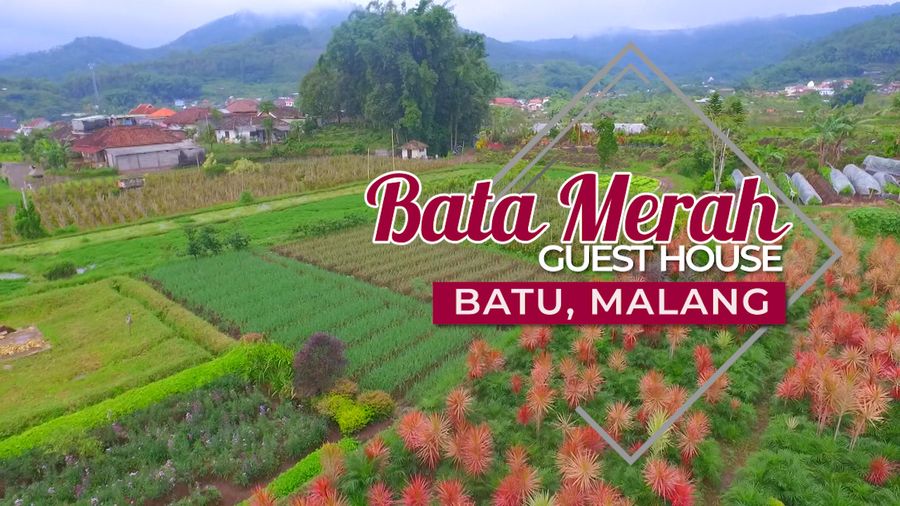 Bata Merah Guest House Batu