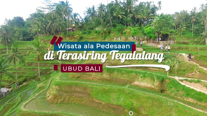 Jalan Jalan Menyusuri Keunikan Sawah di Ubud