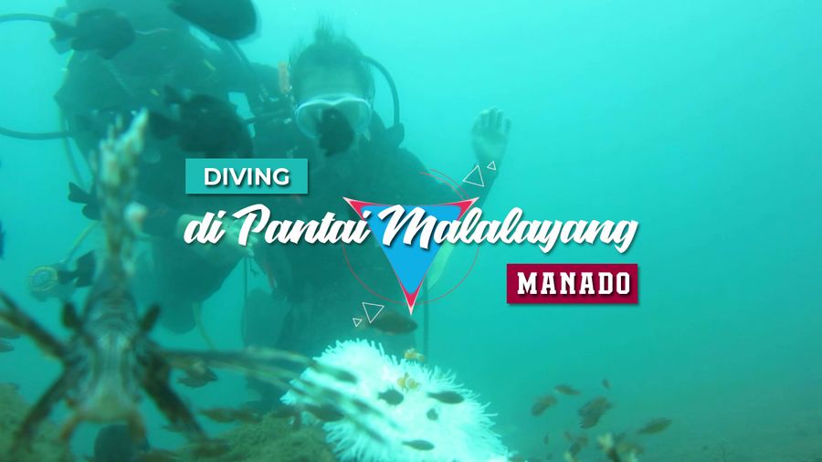 Diving di Pantai Malalayang Manado