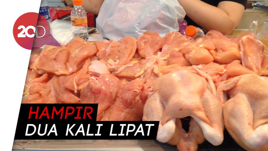 Harga Ayam dan Telur Naik, Pedagang dan Pembeli Mengeluh 