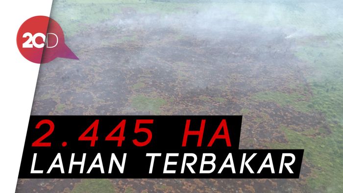 Langit Riau Gelap Dipenuhi Asap Kebakaran Hutan dan Lahan 