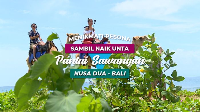 Mengendarai Unta Sambil Menikmati Pemandangan Pantai