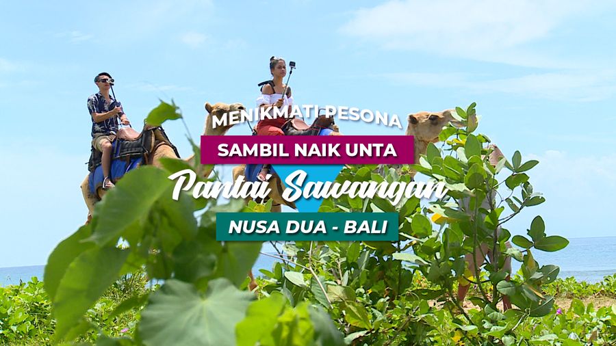 Mengendarai Unta Sambil Menikmati Pemandangan Pantai