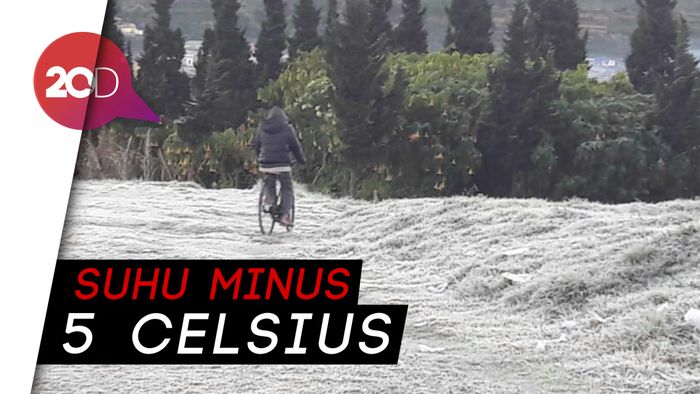Embun Es Terjadi Lagi di Dieng, Kali Ini Area Terdampak Lebih Luas