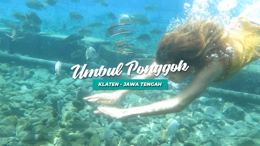Unggul Ponggok, Kolam Renang Paling Instagrammable di Klaten