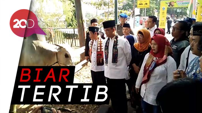 Anies Minta Wali Kota Atur Penjualan Hewan Kurban 