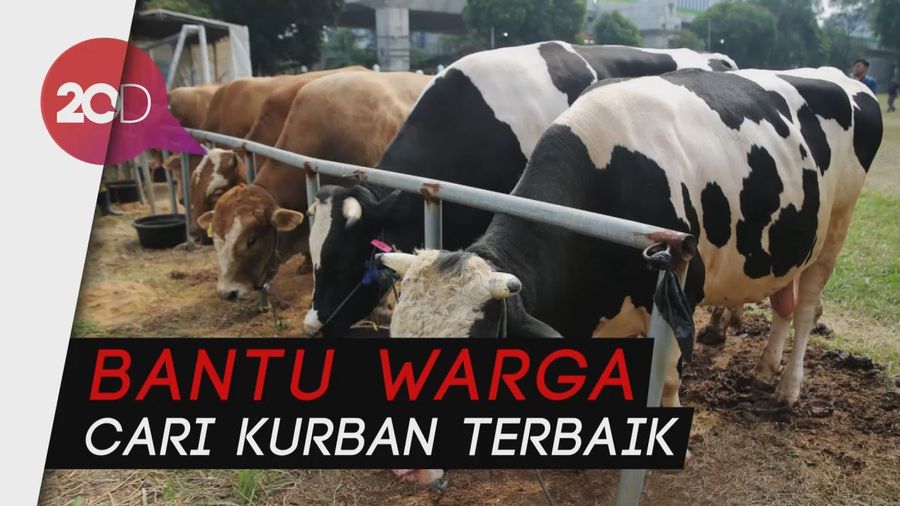 Lagi Cari Hewan Kurban? Coba Mampir ke Festival Halal Qurban