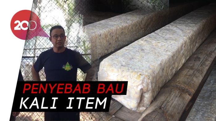  Anies Minta Pabrik Tempe Jangan Buang Limbah ke Kali Item
