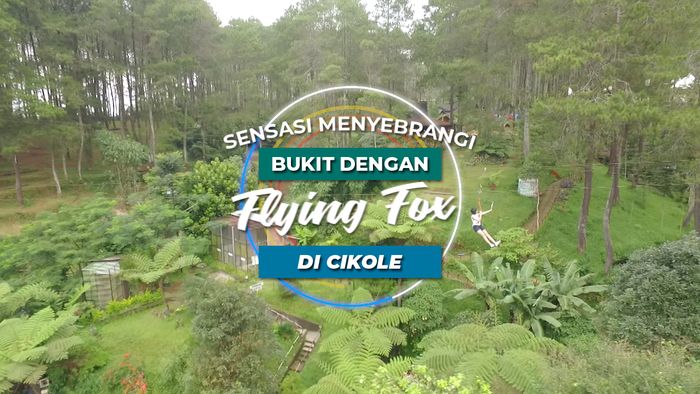 Serunya Meluncur Dengan Flying Fox di Tengah Hutan Pinus