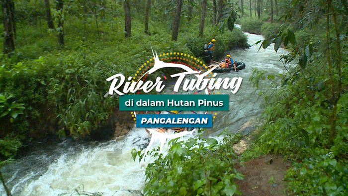 River Tubing Mengarungi Sungai yang Dikelilingi Oleh Hutan Pinus