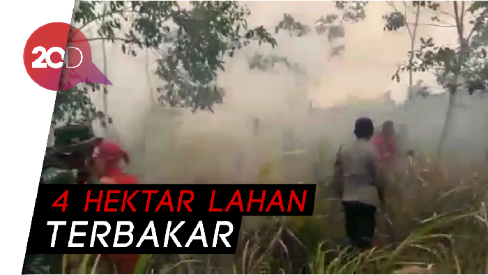 Petugas Berjibaku Padamkan Api di Lahan Gambut Jambi