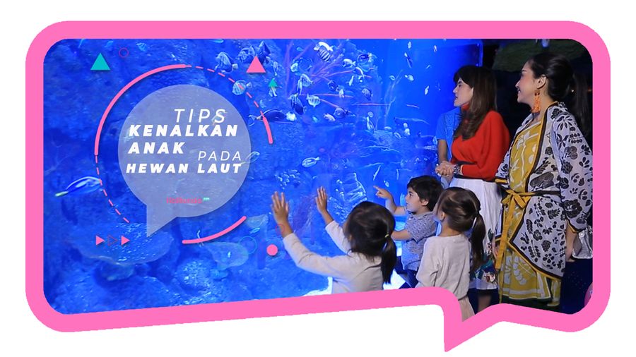 Tips Kenalkan Anak dengan Hewan Laut