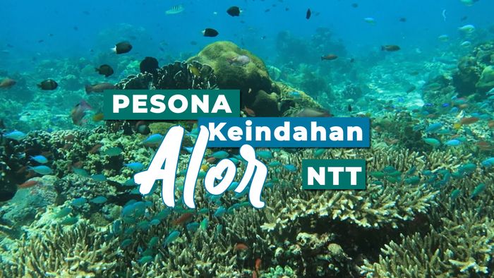 Pesona Keindahan Alor, Nusa Tenggara Timur