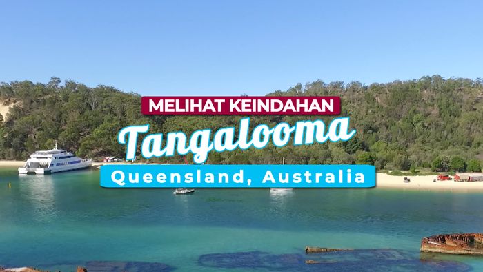 Bermain Kano di Pantai, Melihat Dari Dekat Kapal Karam