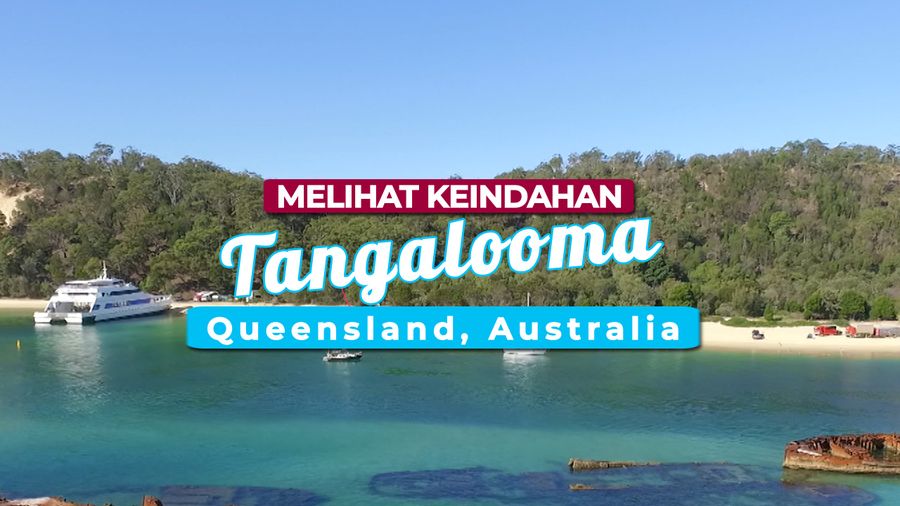Bermain Kano di Pantai, Melihat Dari Dekat Kapal Karam
