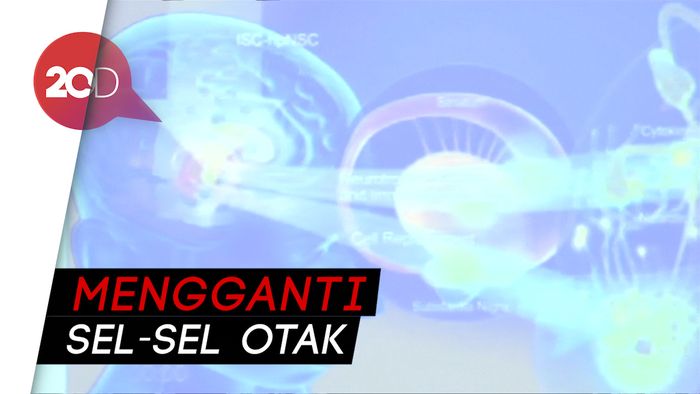 Ilmuwan Kyoto Temukan Metode Pengobatan Parkinson