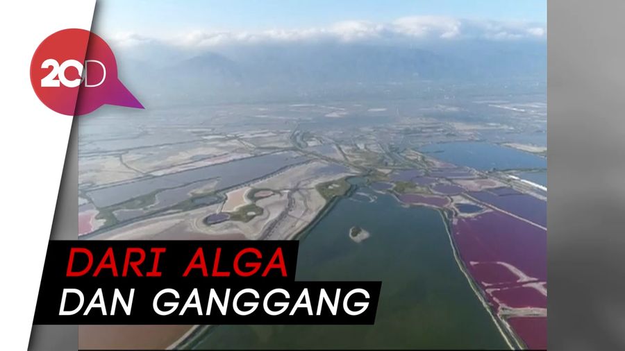 Cuaca Sangat Panas, Danau Garam Ini Berubah Warna