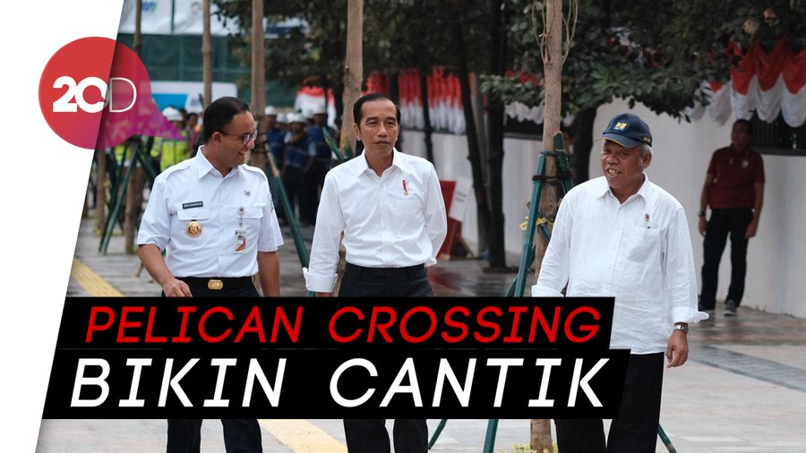 Jokowi Sebut Langkah Anies Buat Pelican Crossing Tepat!