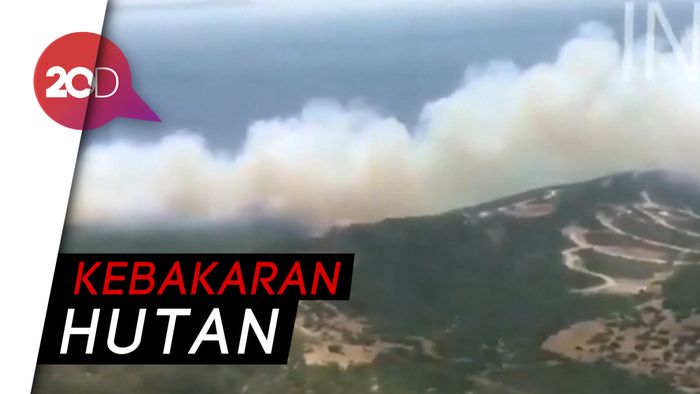 Hutan di Spanyol Jadi Korban Gelombang Panas Eropa