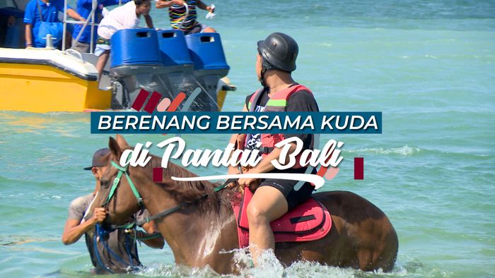 Berenang Bersama Sesuatu yang Tidak Biasa, Kuda!