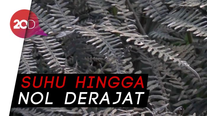 Wih, Kawasan Bromo Sudah Membeku Dua Kali Selama Seminggu