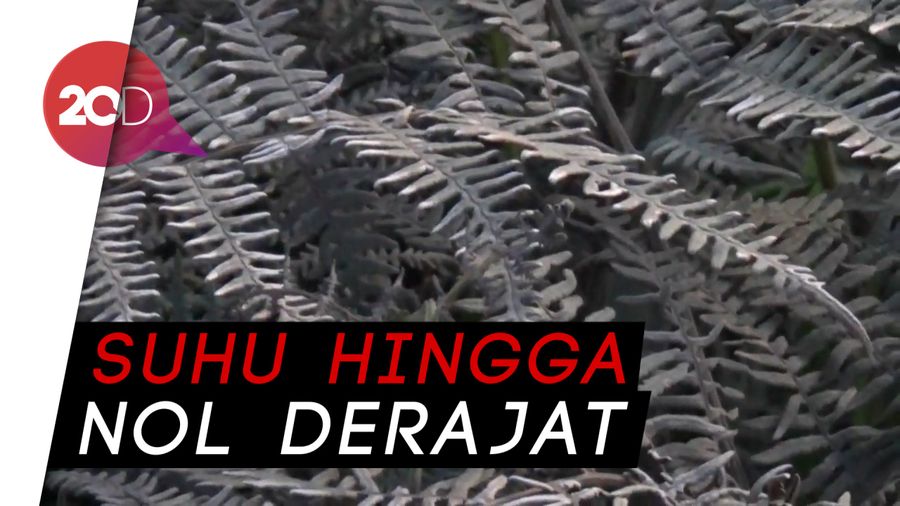 Wih, Kawasan Bromo Sudah Membeku Dua Kali Selama Seminggu