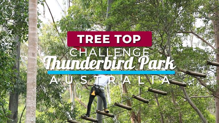 Tree Top Challenge, Thunderbird Park Australia