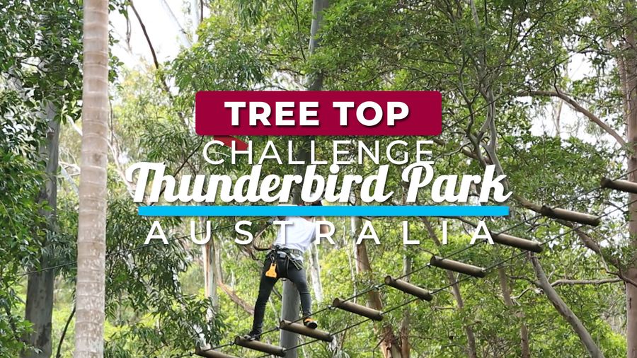 Tree Top Challenge, Thunderbird Park Australia