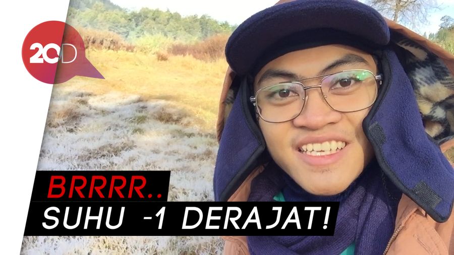 Wow! Ini Dieng Rasa New Zealand