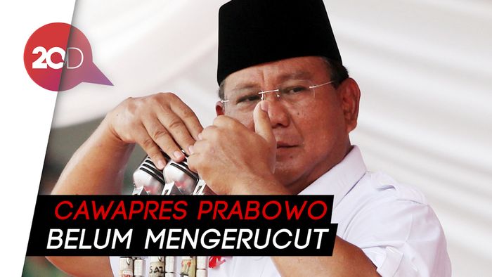 Gerindra: SBY Sudah Terima Pandangan Prabowo dengan Gembira