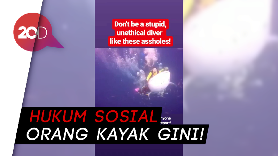 Bikin Geram! Pengusaha Kaya Ini Tunggangi Whale Shark