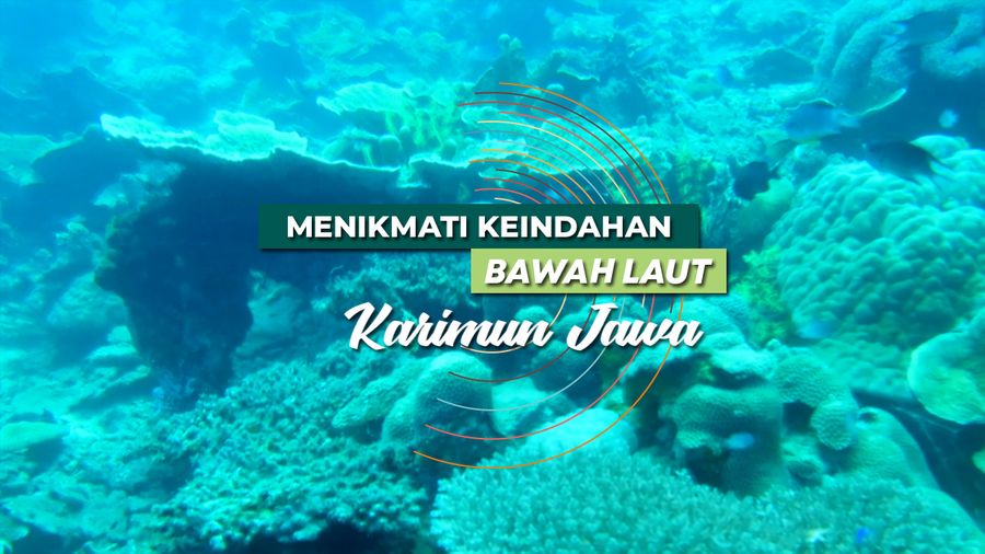 Mengagumi Keindahan Bawah Laut Karimun Jawa