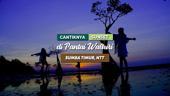 Cantiknya Dancing Tree Saat Sunset di Pantai Walakiri