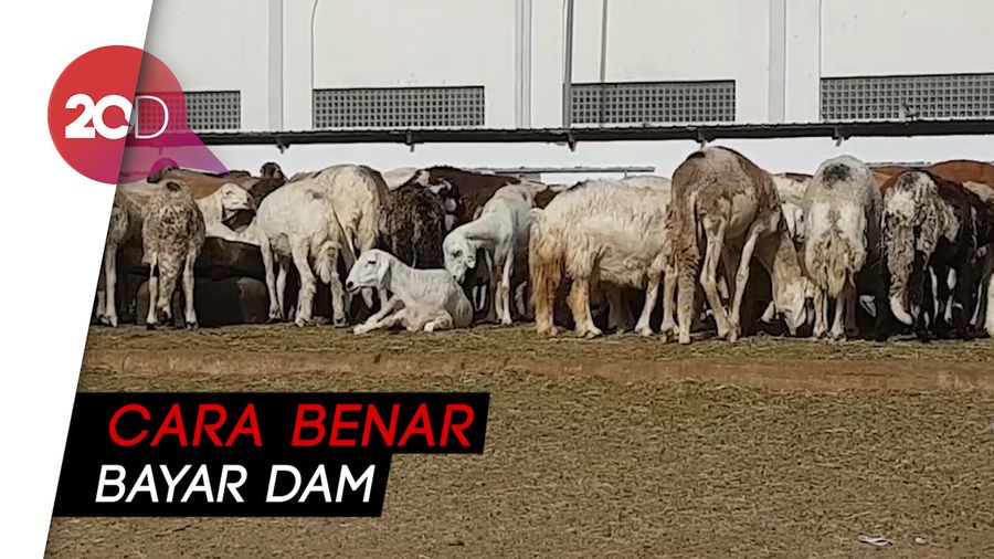 Bagaimana Cara Bayar Dam, Simak Penjelasan Berikut Ini
