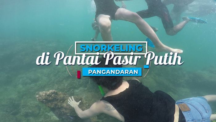 Mempesonanya Pemandangan Bawah Laut Pantai Pasir Putih Pangandaran