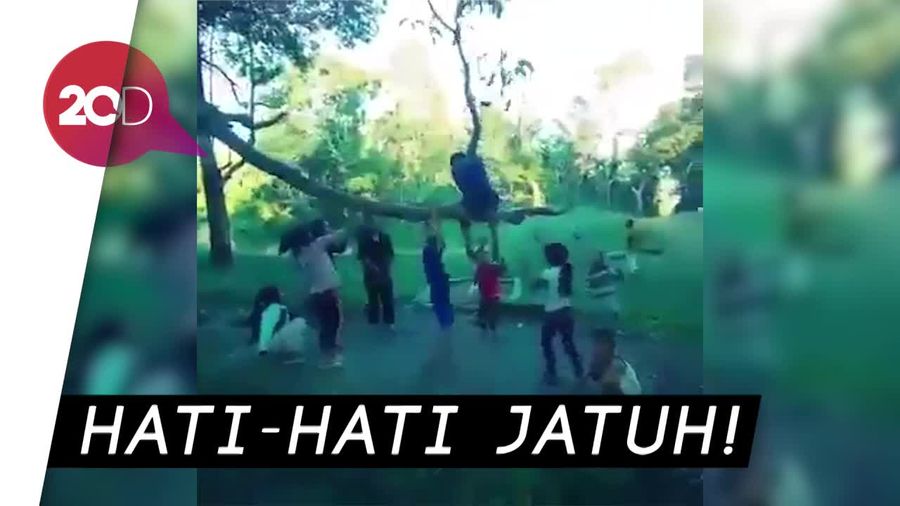 Duh! Mainan Ayunan Pohon Ini Seru Sekaligus Seram