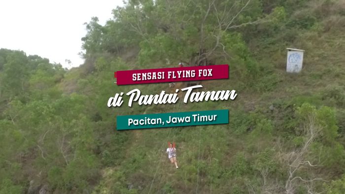 Sensasi Flying Fox di Pinggir Pantai