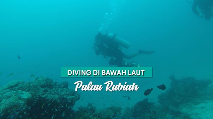 Melihat Keindahan Biota Laut di Pulau Rubiah