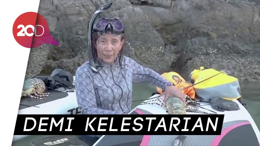 Menteri Susi: Jangan Tangkap Lobster yang Bertelur! 