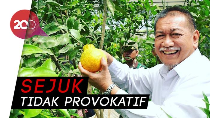 PPP Ungkap Alasan Deddy Mizwar Jadi Jubir Jokowi