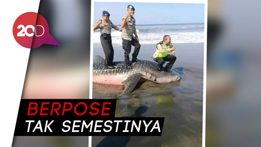 Polisi yang Injak Bangkai Hiu akan Dihukum