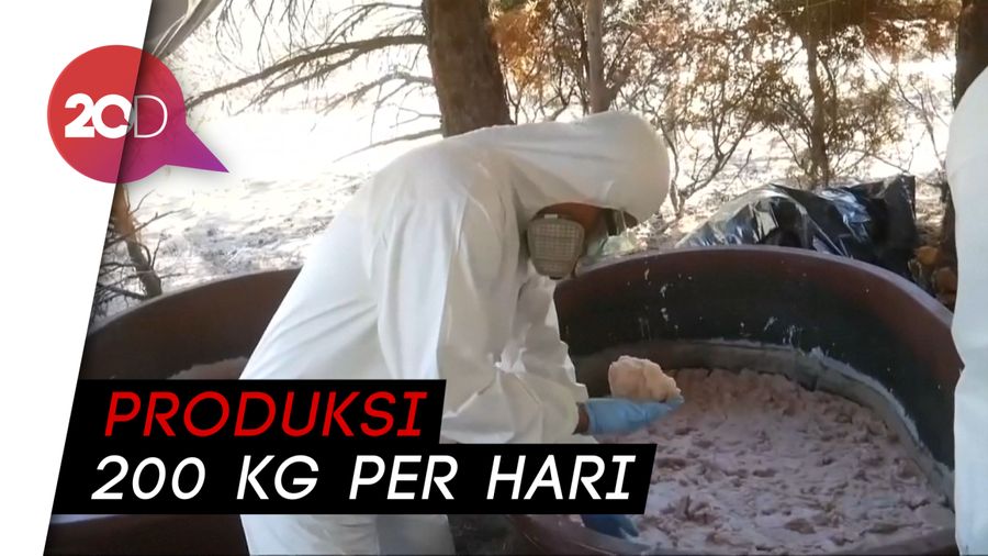 Ditemukan Lab Pabrik Sabu-sabu di Perbatasan Meksiko-AS