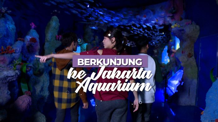 Berkunjung ke Jakarta Aquarium